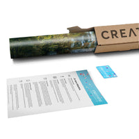 Klebefolie Rainforest - Paket - creatisto pds2