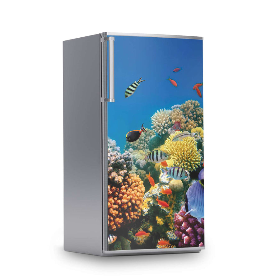 Kühlschrank Folie -Coral Reef- Kühlschrank 60x120 cm
