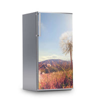 Kühlschrank Folie -Dandelion- Kühlschrank 60x120 cm