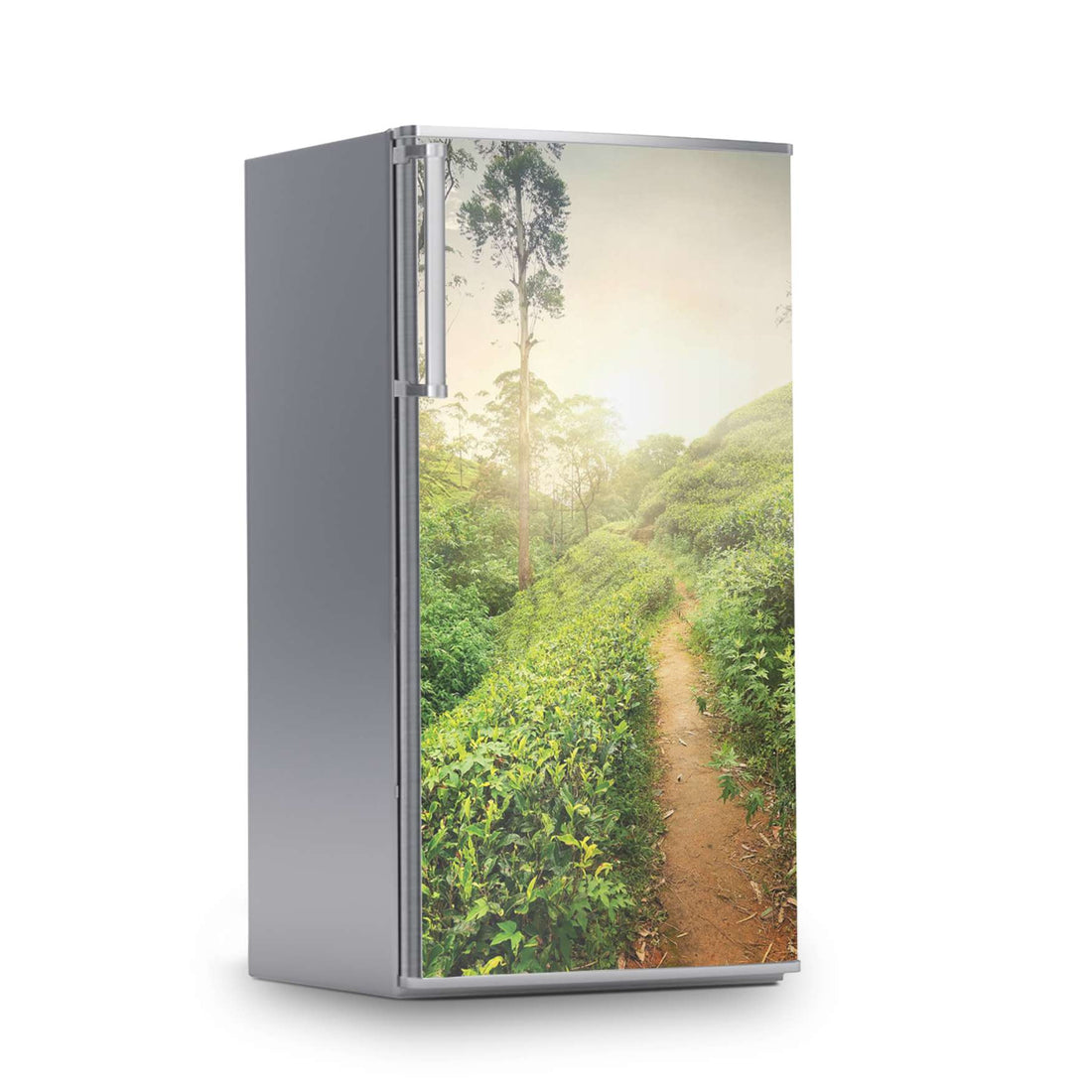 Kühlschrank Folie -Green Tea Fields- Kühlschrank 60x120 cm