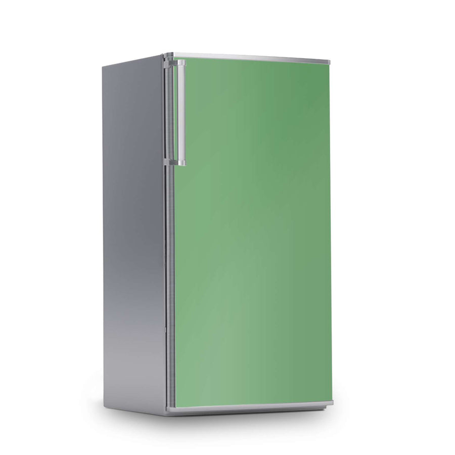 Kühlschrank Folie -Grün Light- Kühlschrank 60x120 cm