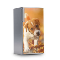 Kühlschrank Folie -Jack the Puppy- Kühlschrank 60x120 cm