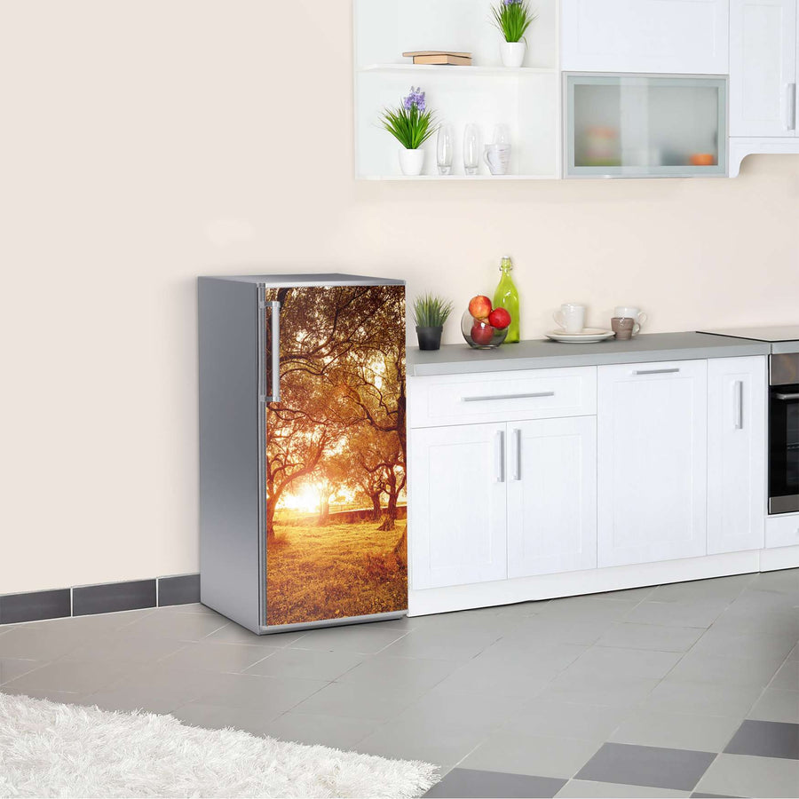 Kühlschrank Folie Tree Sunlight  Kühlschrank 60x120 cm