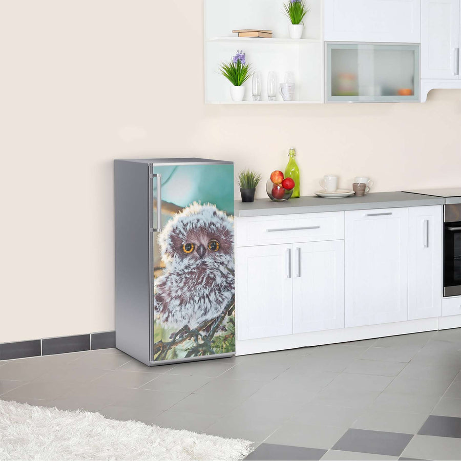 Kühlschrank Folie Wuschel  Kühlschrank 60x120 cm