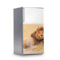Kühlschrank Folie -Lion King- Kühlschrank 60x120 cm