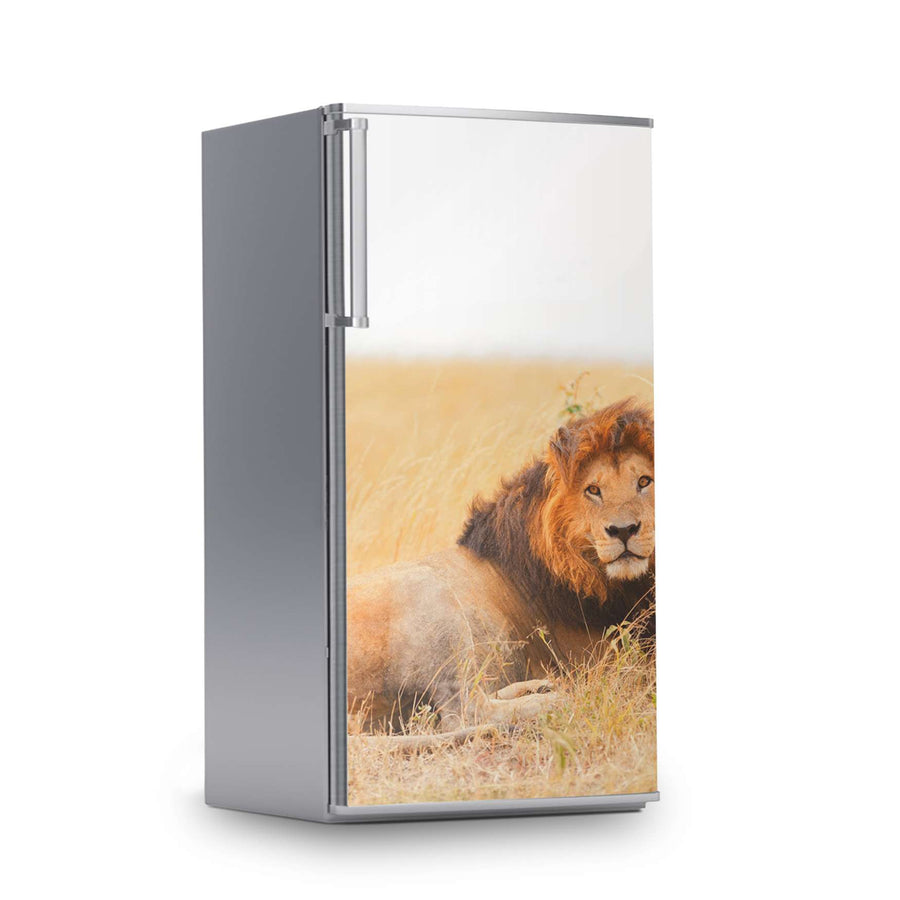 Kühlschrank Folie -Lion King- Kühlschrank 60x120 cm