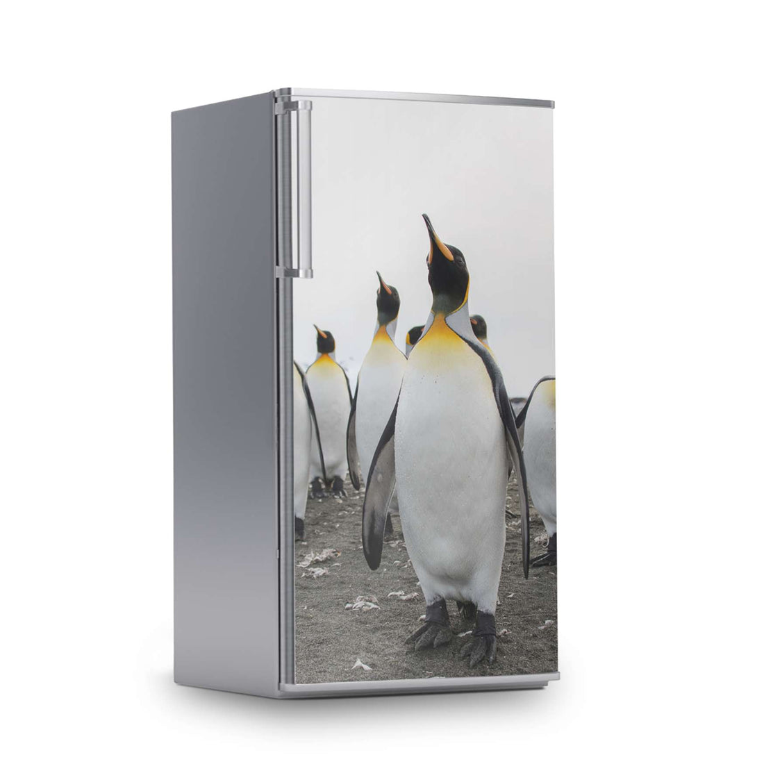 Kühlschrank Folie -Penguin Family- Kühlschrank 60x120 cm