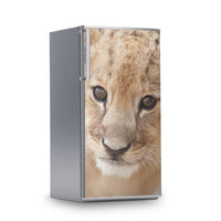 Kühlschrank Folie -Simba- Kühlschrank 60x120 cm