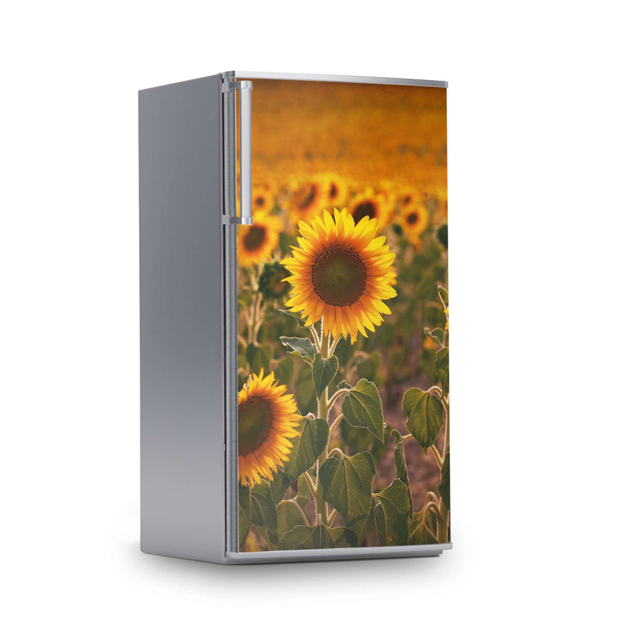 Kühlschrank Folie -Sunflowers- Kühlschrank 60x120 cm