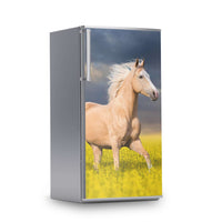 Kühlschrank Folie -Wildpferd- Kühlschrank 60x120 cm