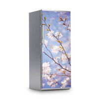 Kühlschrank Folie -Apple Blossoms- Kühlschrank 60x150 cm