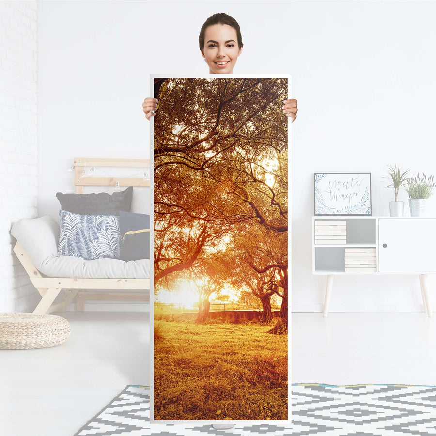 Kühlschrank Folie Tree Sunlight - Küche - Kühlschrankgröße 60x150 cm