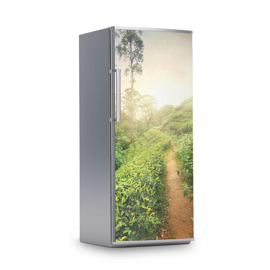 Kühlschrank Folie -Green Tea Fields- Kühlschrank 60x150 cm