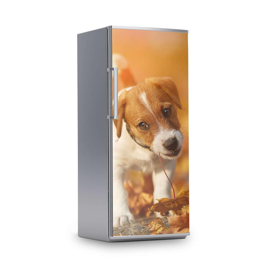 Kühlschrank Folie -Jack the Puppy- Kühlschrank 60x150 cm