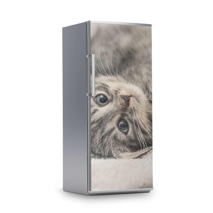Kühlschrank Folie -Kitty the Cat- Kühlschrank 60x150 cm