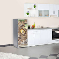 Kühlschrank Folie Eulenbaum  Kühlschrank 60x150 cm