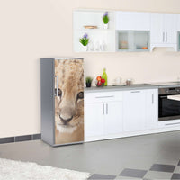 Kühlschrank Folie Simba  Kühlschrank 60x150 cm