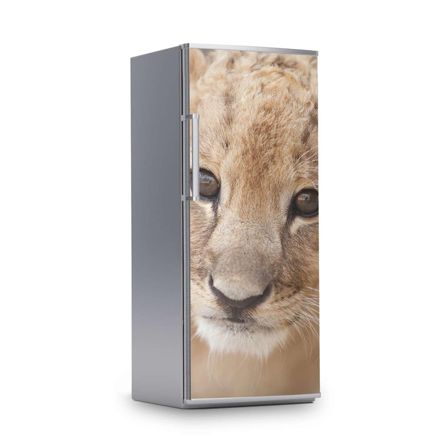 Kühlschrank Folie -Simba- Kühlschrank 60x150 cm
