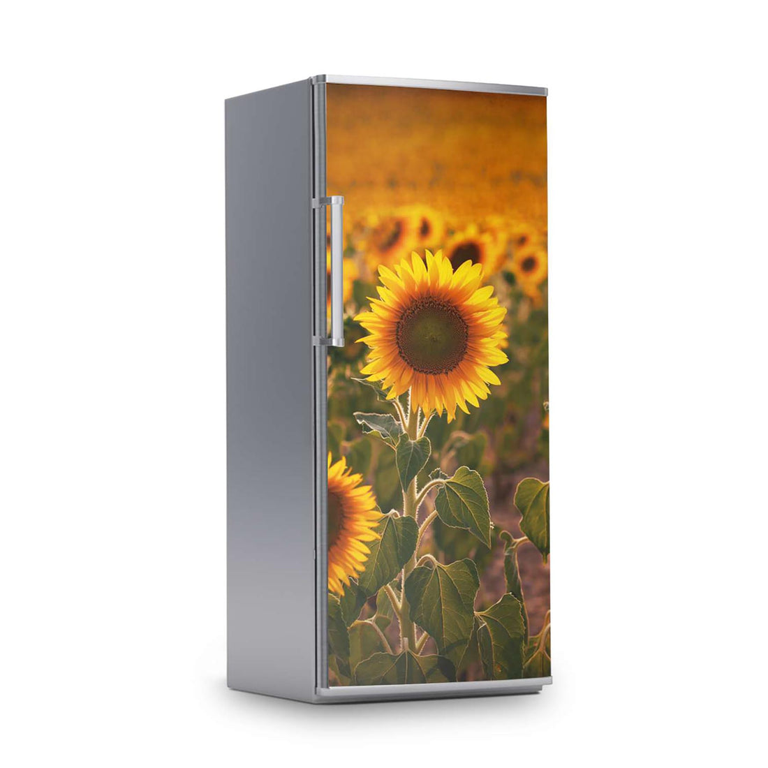 Kühlschrank Folie -Sunflowers- Kühlschrank 60x150 cm