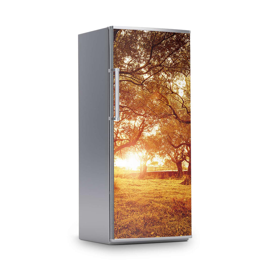 Kühlschrank Folie -Tree Sunlight- Kühlschrank 60x150 cm