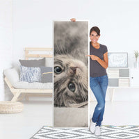 Kühlschrank Folie Kitty the Cat - Küche - Kühlschrankgröße 60x180 cm
