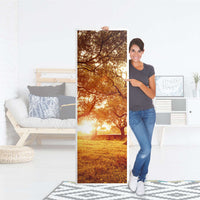 Kühlschrank Folie Tree Sunlight - Küche - Kühlschrankgröße 60x180 cm