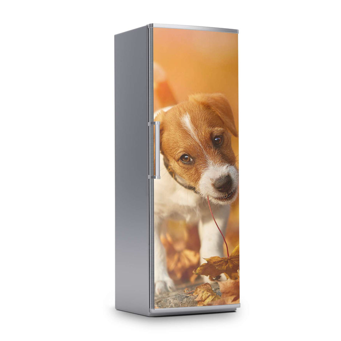 Kühlschrank Folie -Jack the Puppy- Kühlschrank 60x180 cm