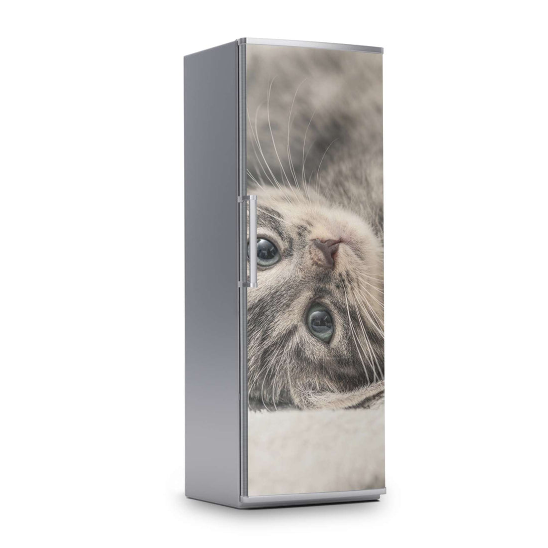 Kühlschrank Folie -Kitty the Cat- Kühlschrank 60x180 cm