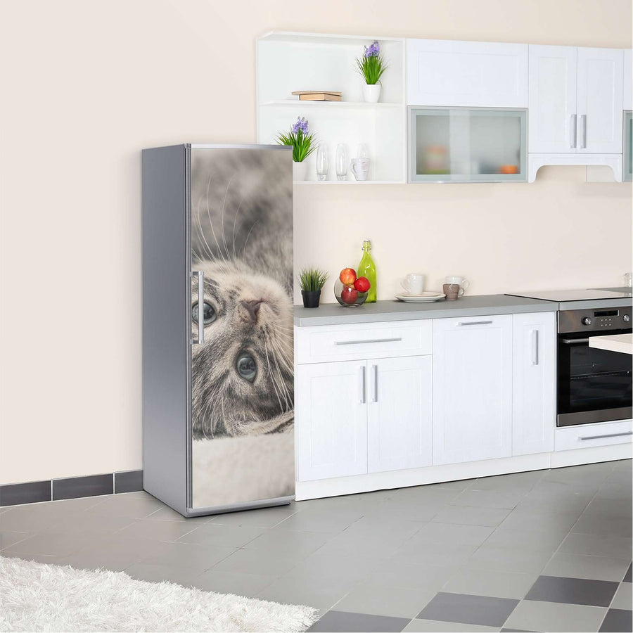 Kühlschrank Folie Kitty the Cat  Kühlschrank 60x180 cm