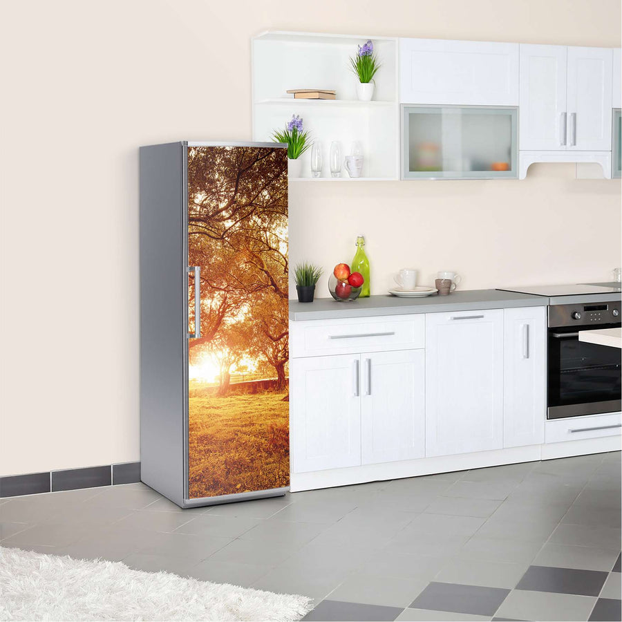 Kühlschrank Folie Tree Sunlight  Kühlschrank 60x180 cm