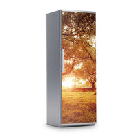 Kühlschrank Folie -Tree Sunlight- Kühlschrank 60x180 cm