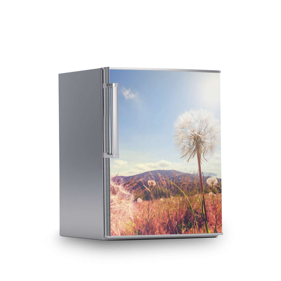 Kühlschrank Folie -Dandelion- Kühlschrank 60x80 cm