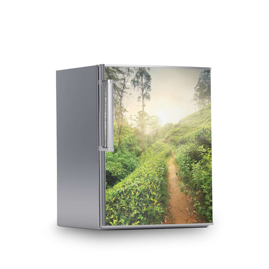 Kühlschrank Folie -Green Tea Fields- Kühlschrank 60x80 cm
