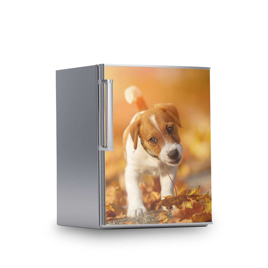 Kühlschrank Folie -Jack the Puppy- Kühlschrank 60x80 cm