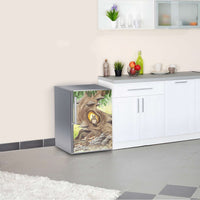 Kühlschrank Folie Eulenbaum  Kühlschrank 60x80 cm