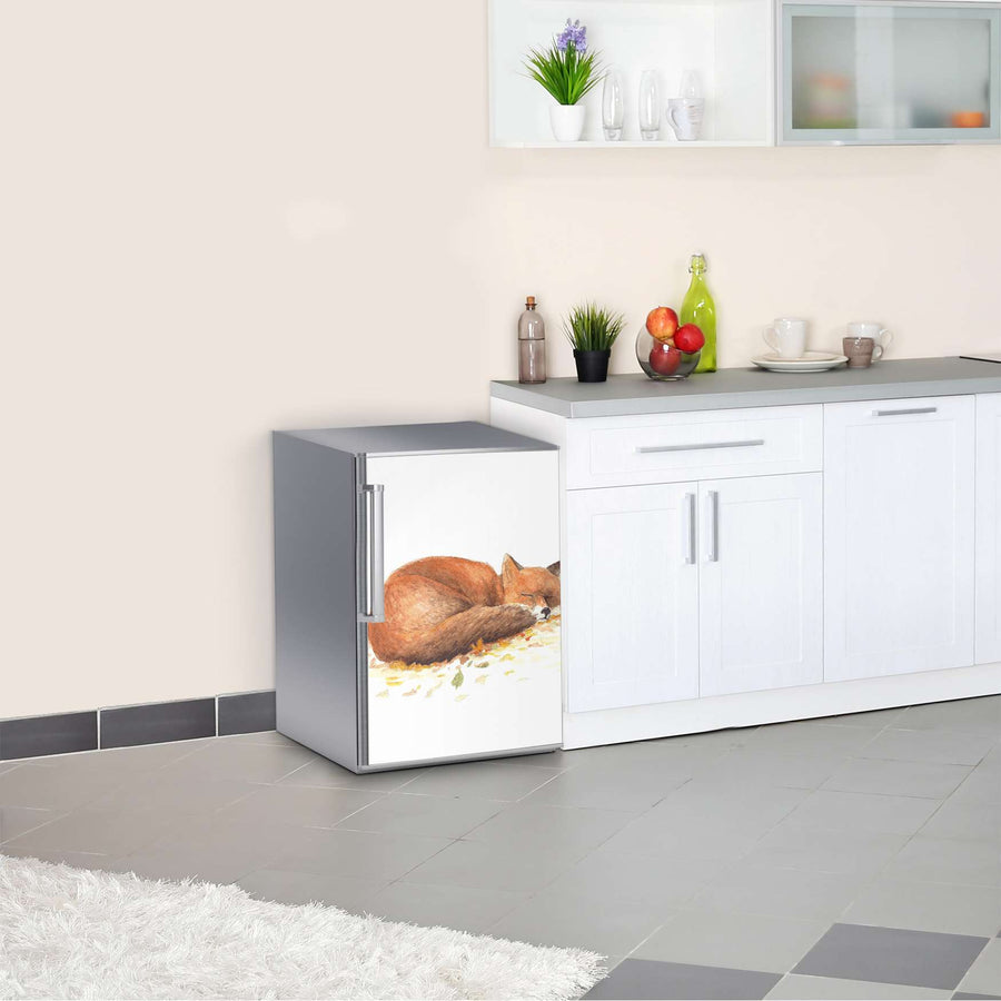 Kühlschrank Folie Fuchs  Kühlschrank 60x80 cm