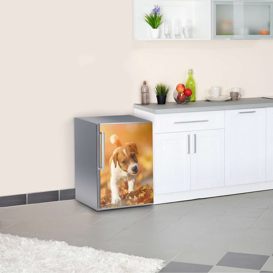 Kühlschrank Folie Jack the Puppy  Kühlschrank 60x80 cm