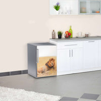 Kühlschrank Folie Lion King  Kühlschrank 60x80 cm