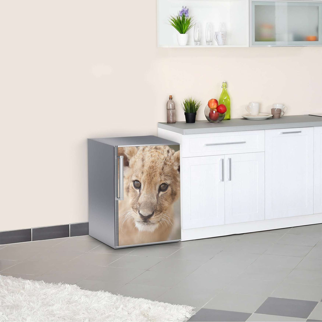 Kühlschrank Folie Simba  Kühlschrank 60x80 cm