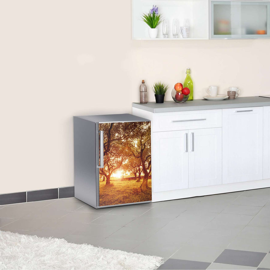 Kühlschrank Folie Tree Sunlight  Kühlschrank 60x80 cm