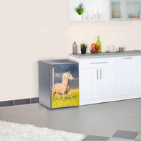 Kühlschrank Folie Wildpferd  Kühlschrank 60x80 cm