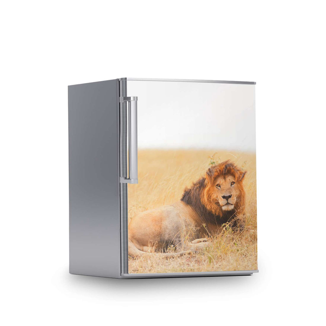 Kühlschrank Folie -Lion King- Kühlschrank 60x80 cm