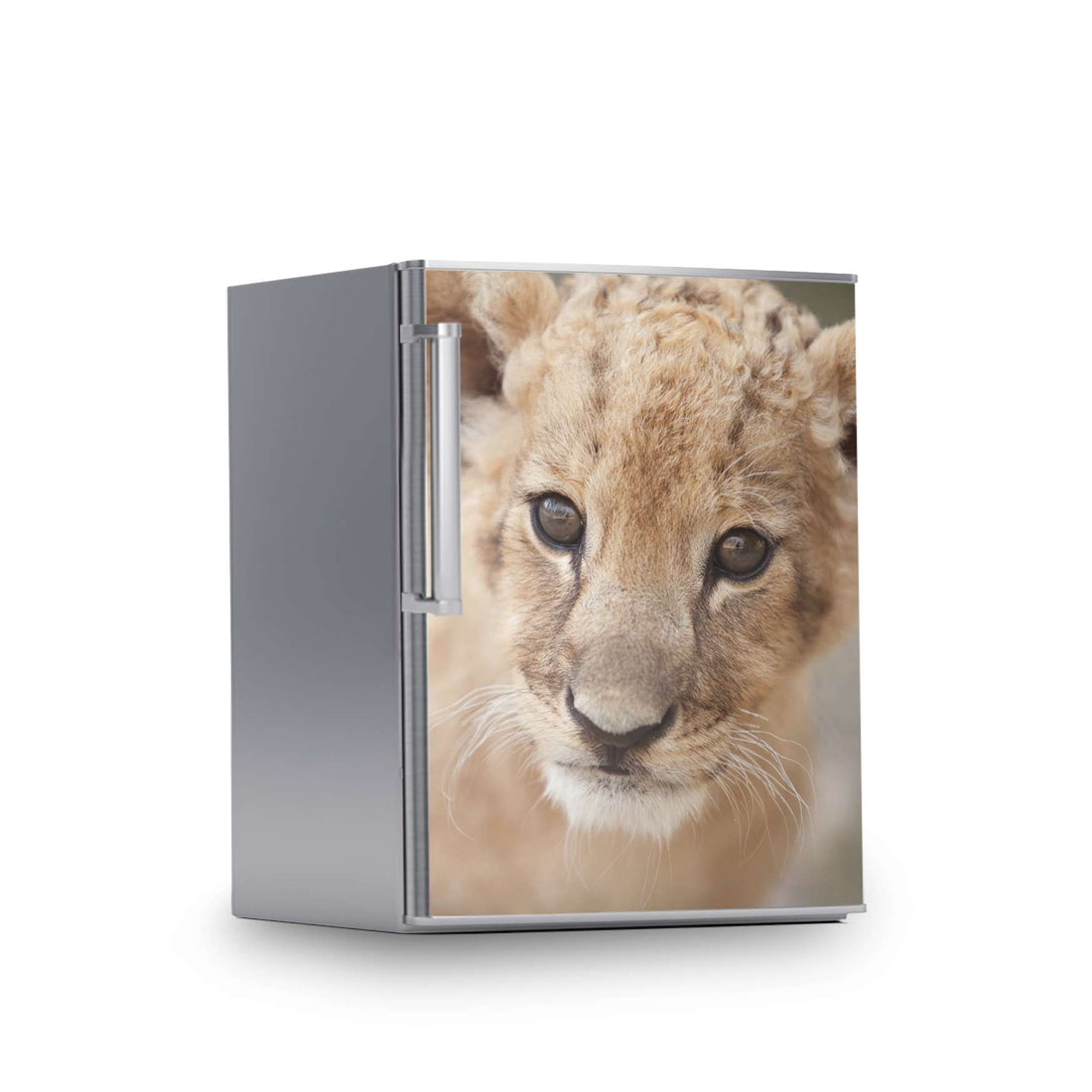 Kühlschrank Folie -Simba- Kühlschrank 60x80 cm