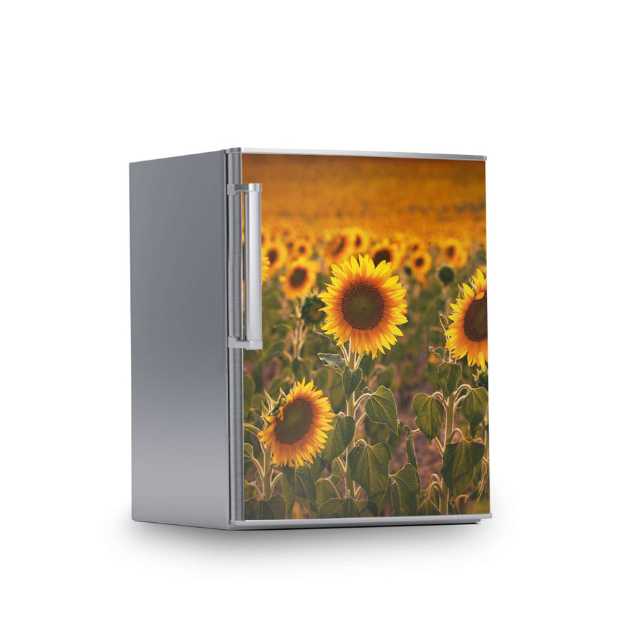 Kühlschrank Folie -Sunflowers- Kühlschrank 60x80 cm