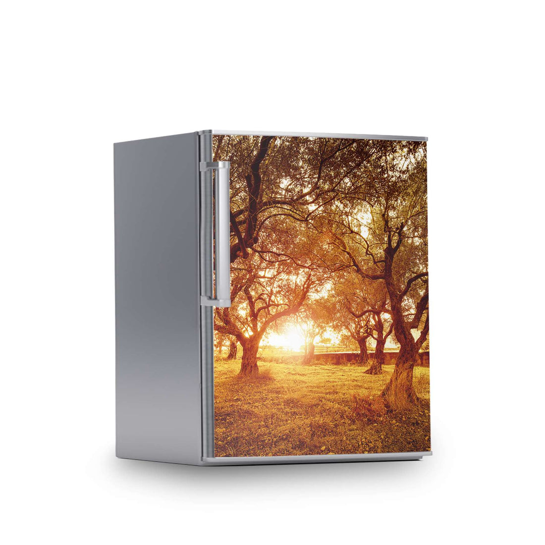Kühlschrank Folie -Tree Sunlight- Kühlschrank 60x80 cm