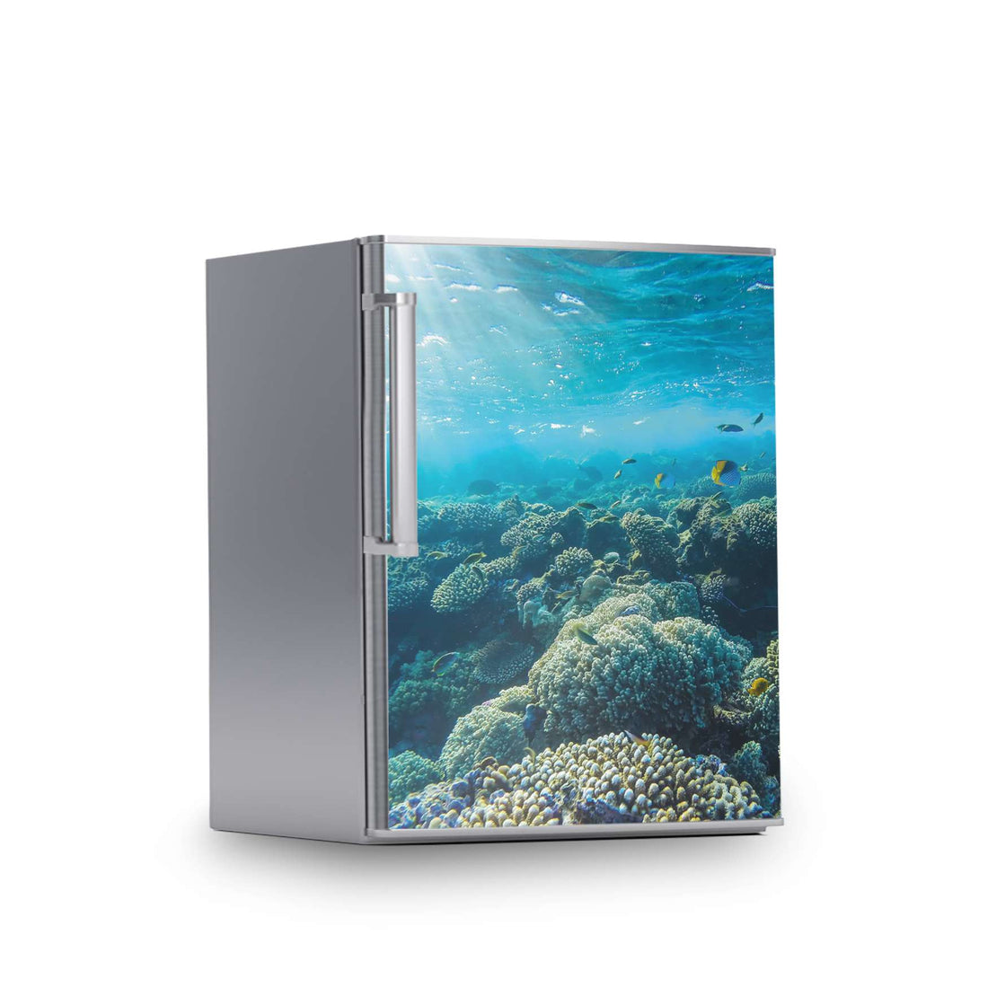 Kühlschrank Folie -Underwater World- Kühlschrank 60x80 cm