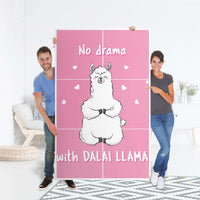 Möbel Klebefolie Dalai Llama - IKEA Besta Schrank Hoch 6 Türen - Folie