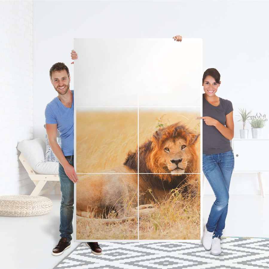 Möbel Klebefolie Lion King - IKEA Besta Schrank Hoch 6 Türen - Folie