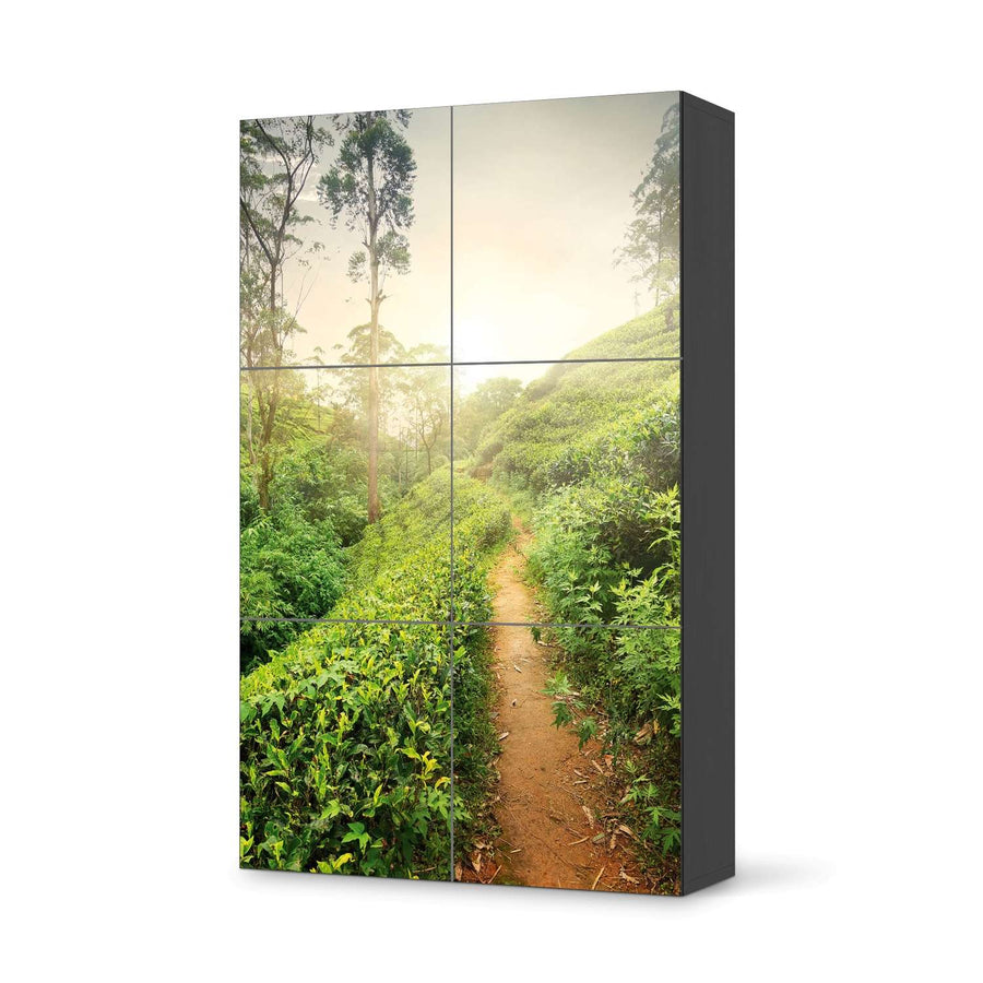Möbel Klebefolie Green Tea Fields - IKEA Besta Schrank Hoch 6 Türen - schwarz