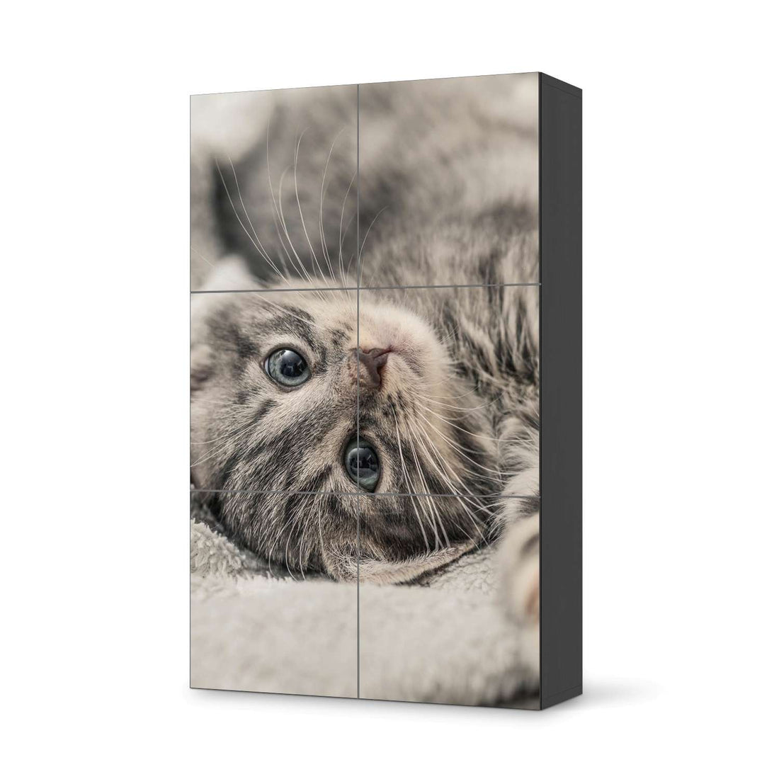 Möbel Klebefolie Kitty the Cat - IKEA Besta Schrank Hoch 6 Türen - schwarz
